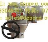 Biffi執(zhí)行器 Biffi執(zhí)行器